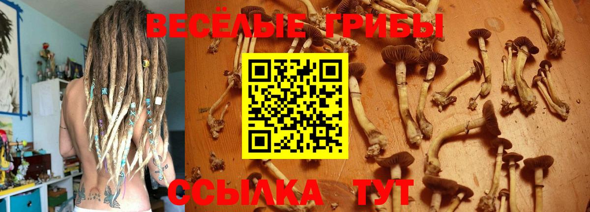 Галлюциногенные грибы мухоморы  Вход с VPN  Королёв 