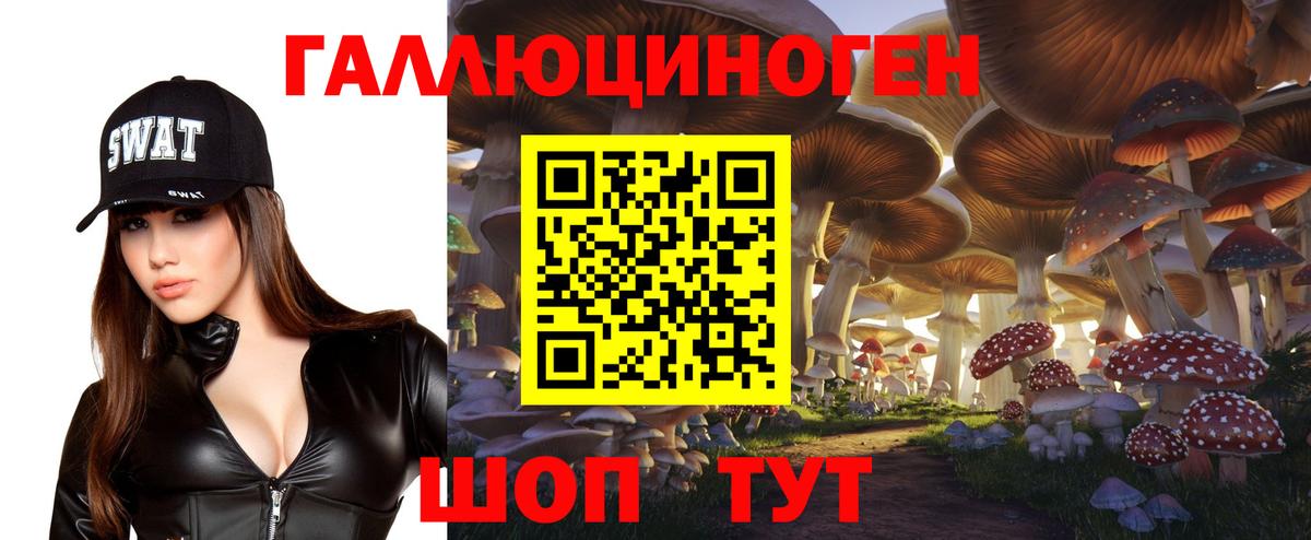 Псилоцибиновые грибы Cubensis Королёв